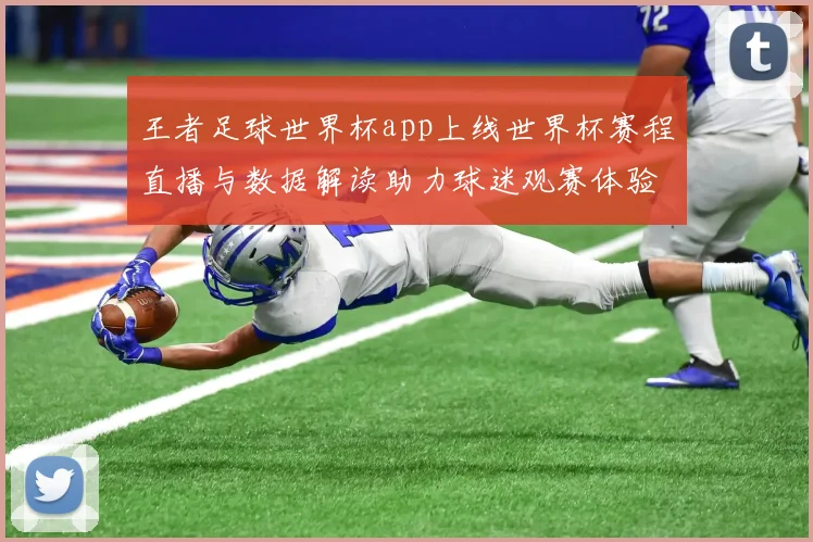 王者足球世界杯app上线世界杯赛程直播与数据解读助力球迷观赛体验