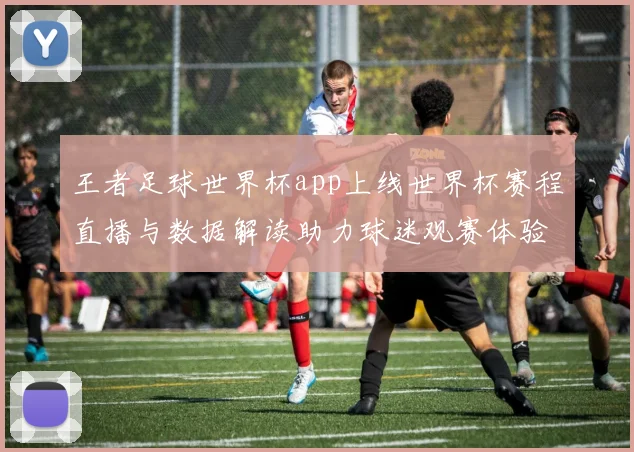 王者足球世界杯app上线世界杯赛程直播与数据解读助力球迷观赛体验