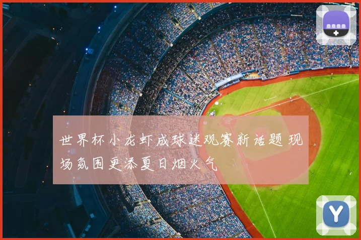 世界杯小龙虾成球迷观赛新话题 现场氛围更添夏日烟火气