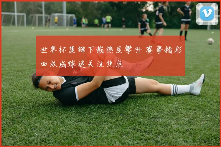 世界杯集锦下载热度攀升 赛事精彩回放成球迷关注焦点